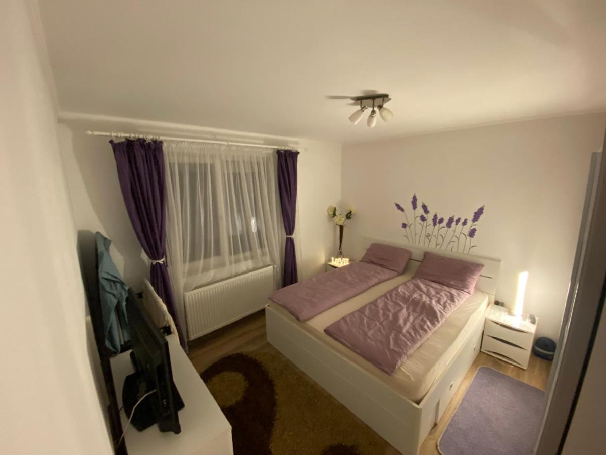 “Home Sweet Home” Sîntandrei Zewnętrze zdjęcie