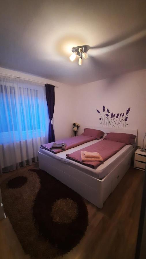 “Home Sweet Home” Sîntandrei Zewnętrze zdjęcie