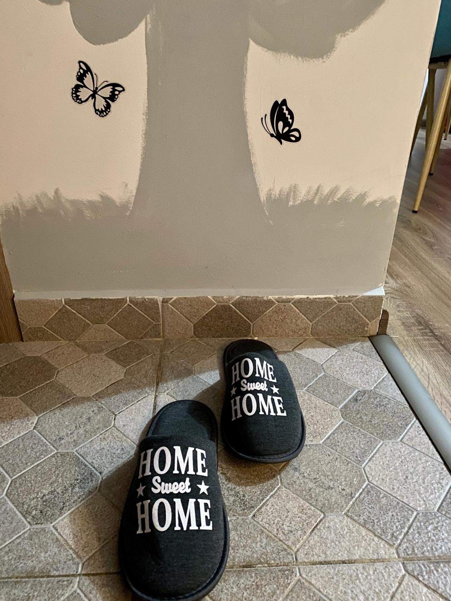 “Home Sweet Home” Sîntandrei Zewnętrze zdjęcie